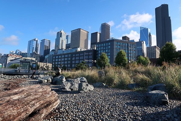 Seattle Waterfront August 2025 - 37