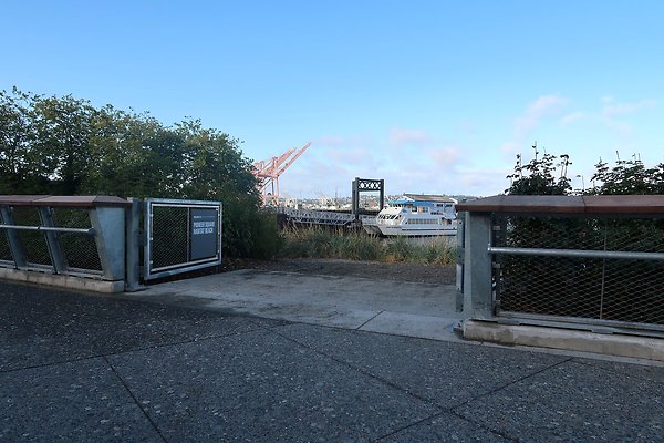 Seattle Waterfront August 2025 - 7