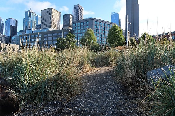 Seattle Waterfront August 2025 - 42