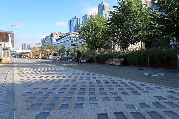 Seattle Waterfront August 2025 - 48
