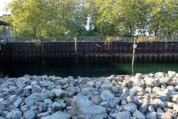 Seattle Waterfront August 2025 - 32