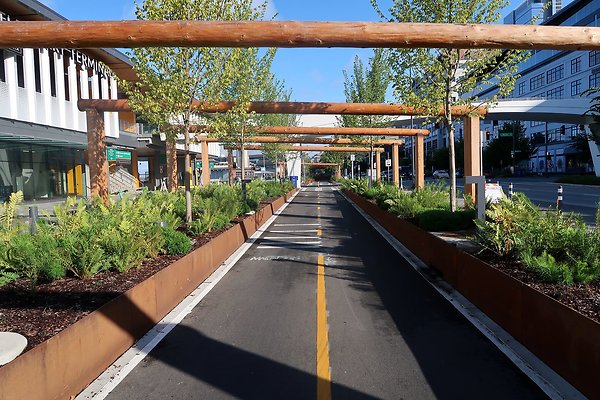 Seattle Waterfront August 2025 - 66