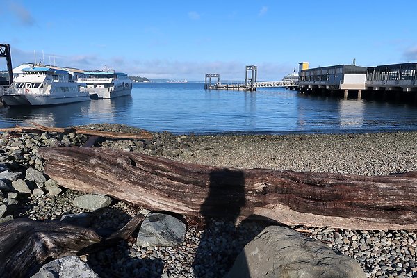 Seattle Waterfront August 2025 - 34