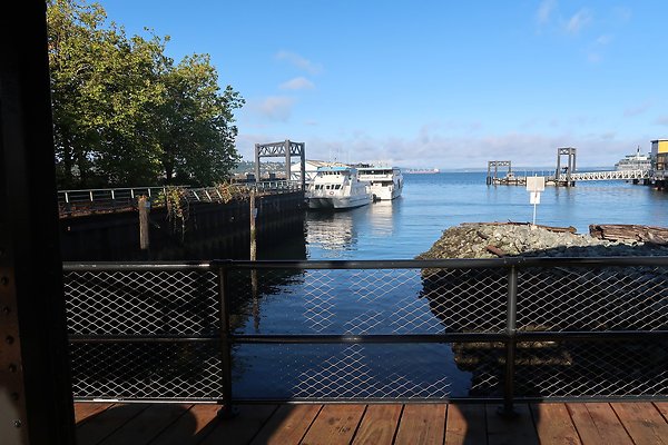 Seattle Waterfront August 2025 - 22
