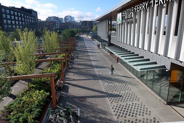 Seattle Waterfront August 2025 - 89