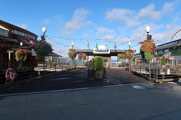 Seattle Waterfront August 2025 - 171