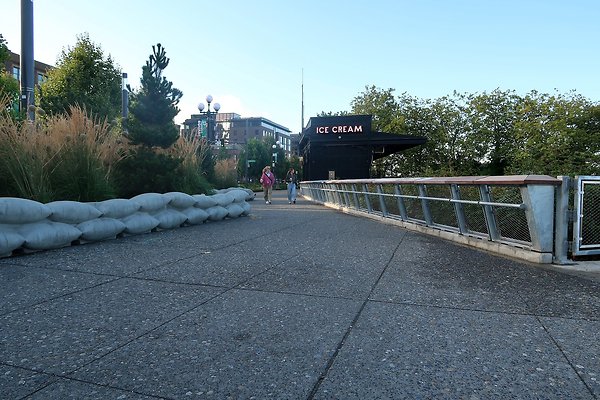 Seattle Waterfront August 2025 - 6