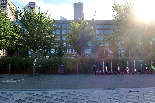 Seattle Waterfront August 2025 - 49