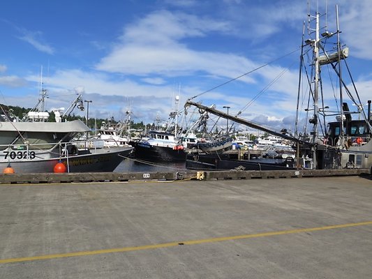 FishermansTerm Alaska - 75