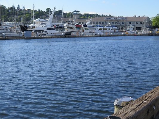 FishermansTerm Alaska - 11