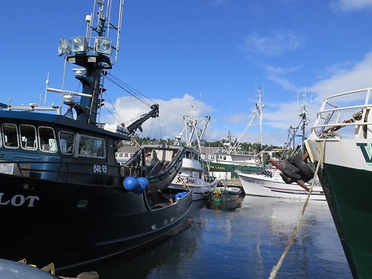 FishermansTerm Alaska - 85