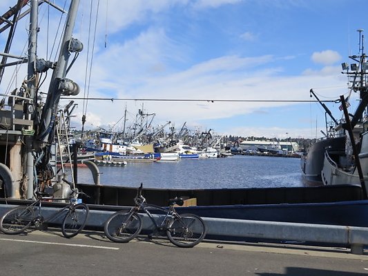 FishermansTerm Alaska - 34