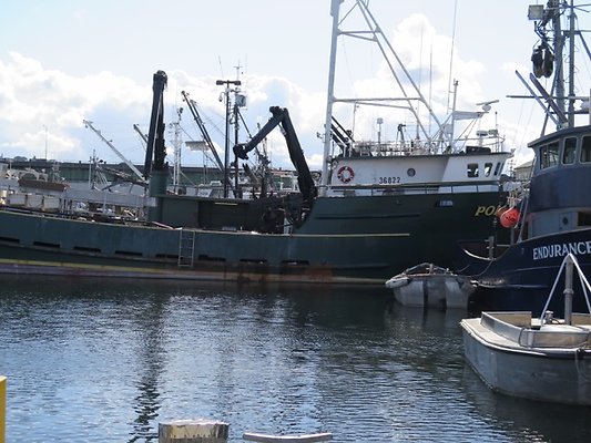 FishermansTerm Alaska - 23