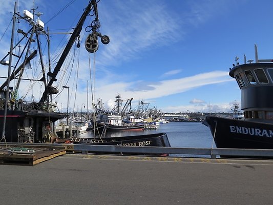 FishermansTerm Alaska - 20