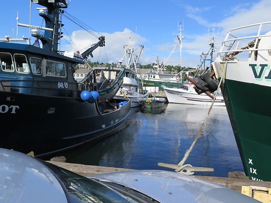 FishermansTerm Alaska - 86