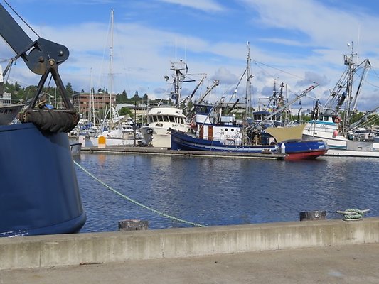 FishermansTerm Alaska - 43