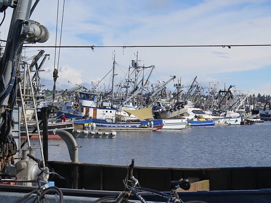 FishermansTerm Alaska - 35