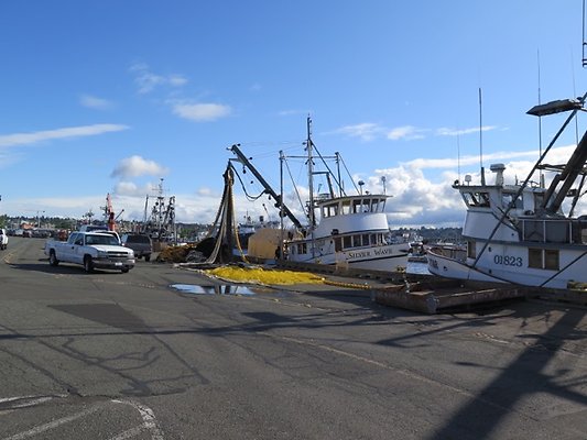 FishermansTerm Alaska - 2