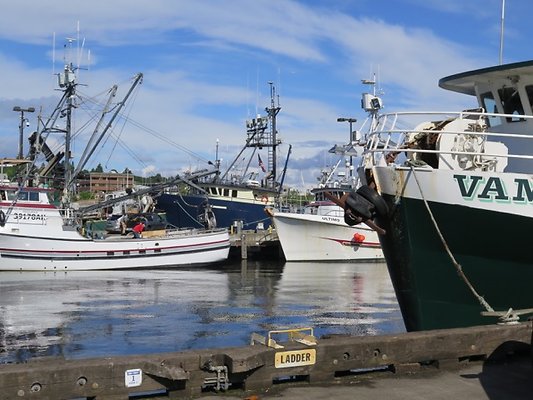 FishermansTerm Alaska - 65