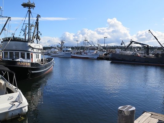 FishermansTerm Alaska - 26