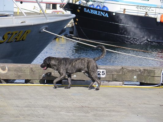 FishermansTerm Alaska - 69
