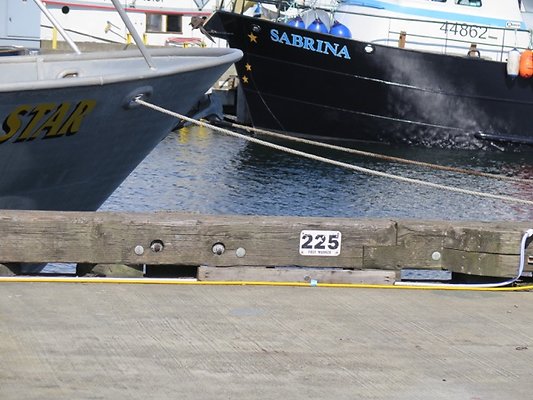 FishermansTerm Alaska - 70