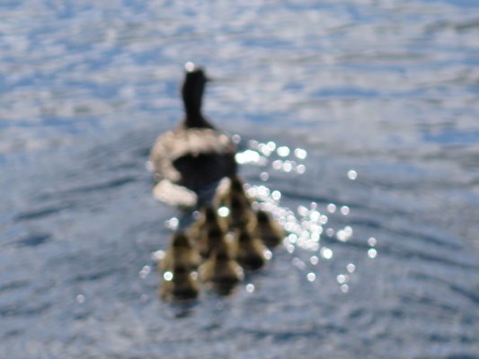 FishermansTerm Alaska - 27