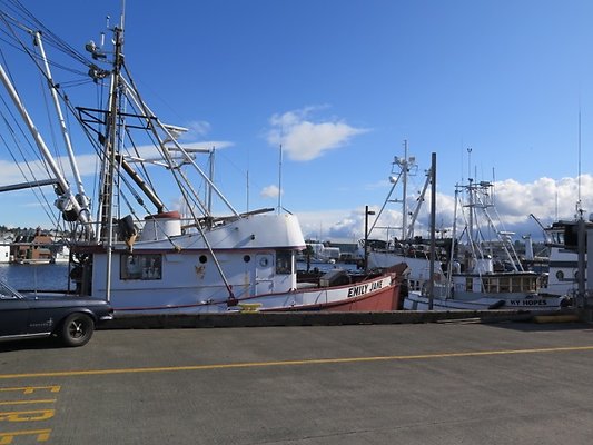 FishermansTerm Alaska - 14