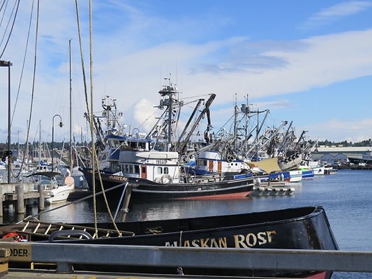 FishermansTerm Alaska - 21