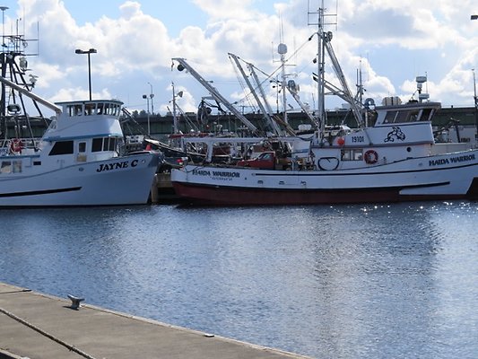 FishermansTerm Alaska - 31