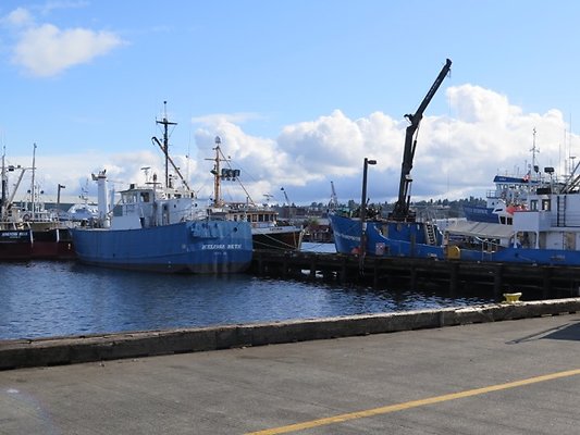 FishermansTerm Alaska - 16