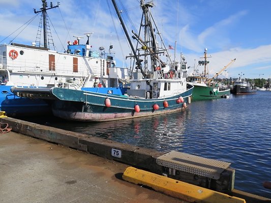 FishermansTerm Alaska - 18