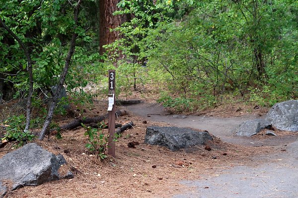 8 mile Campground Icicle Creek USFS  - 2
