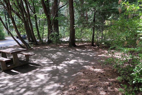 8 mile Campground Icicle Creek USFS  - 12