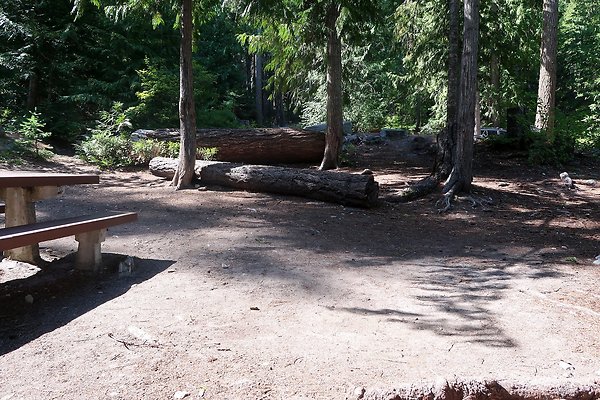 Glacier View Campground USFS Lake Wenatchee - 93