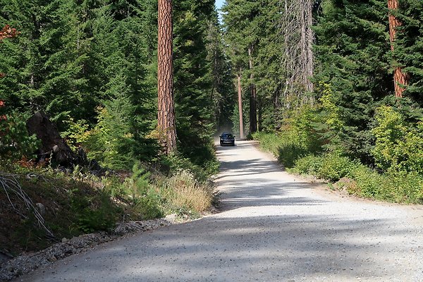 Glacier View Campground USFS Lake Wenatchee - 26