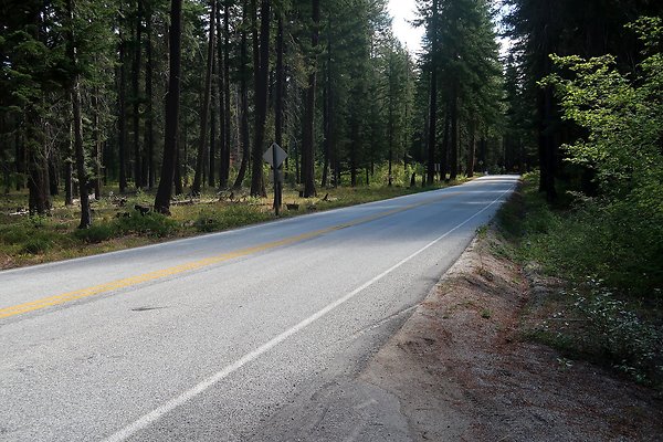 Glacier View Campground USFS Lake Wenatchee - 8