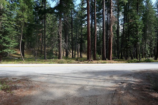 Glacier View Campground USFS Lake Wenatchee - 3