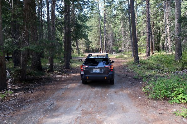 Glacier View Campground USFS Lake Wenatchee - 10
