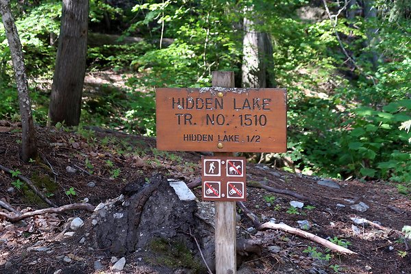 Glacier View Campground USFS Lake Wenatchee - 95