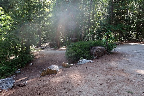 Glacier View Campground USFS Lake Wenatchee - 73