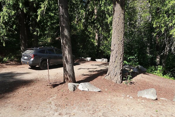 Glacier View Campground USFS Lake Wenatchee - 76