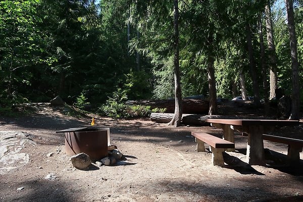 Glacier View Campground USFS Lake Wenatchee - 90