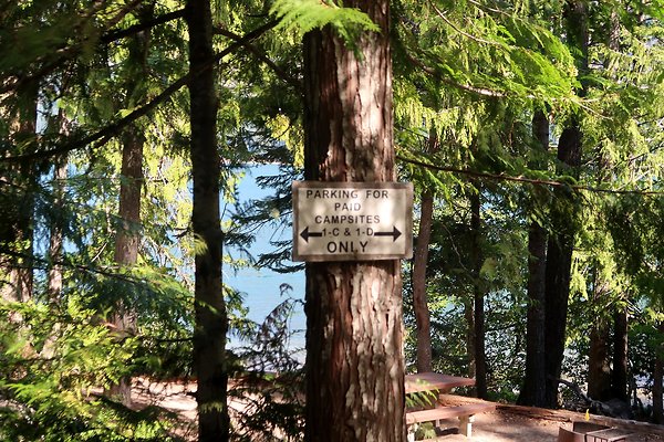 Glacier View Campground USFS Lake Wenatchee - 41