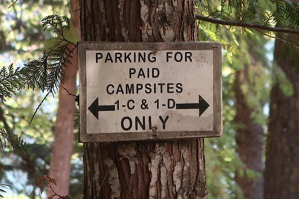 Glacier View Campground USFS Lake Wenatchee - 83