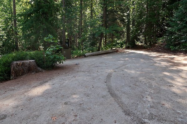 Glacier View Campground USFS Lake Wenatchee - 117