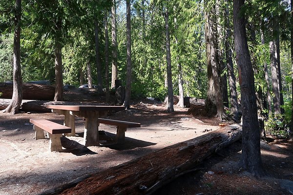 Glacier View Campground USFS Lake Wenatchee - 91