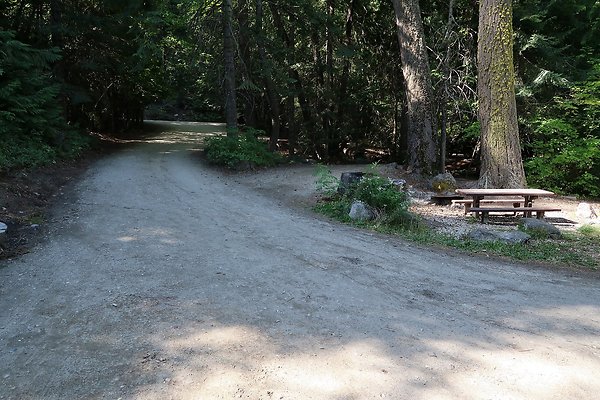 Glacier View Campground USFS Lake Wenatchee - 51