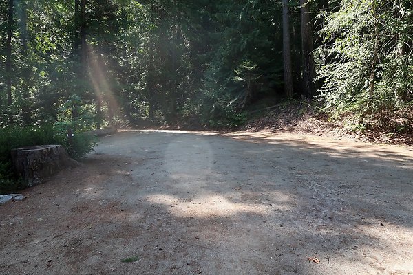 Glacier View Campground USFS Lake Wenatchee - 74