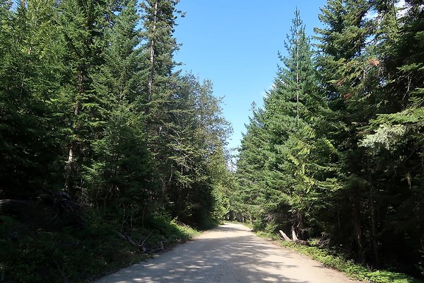 Glacier View Campground USFS Lake Wenatchee - 34